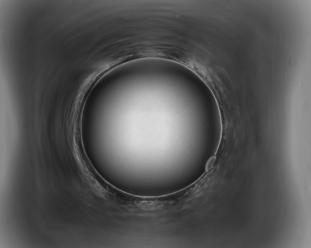 X0000086720145200704201633