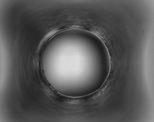 X0000086720149200704201633