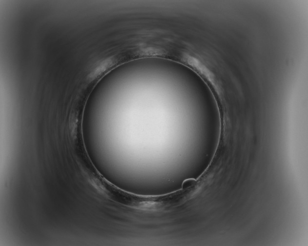 X0000086720153200704201633