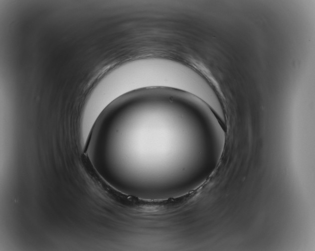 X0000086720154200704201633