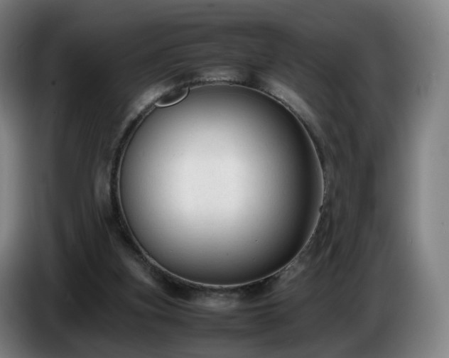 X0000086720155200704201633