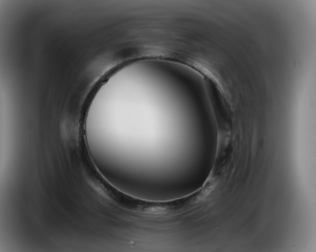 X0000086720156200704201633