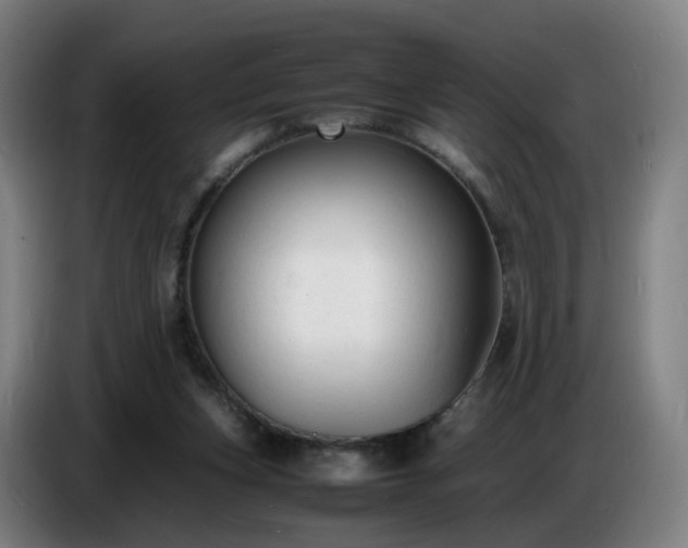 X0000086720159200704201633