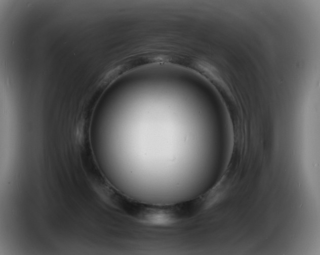 X0000086720167200704201633