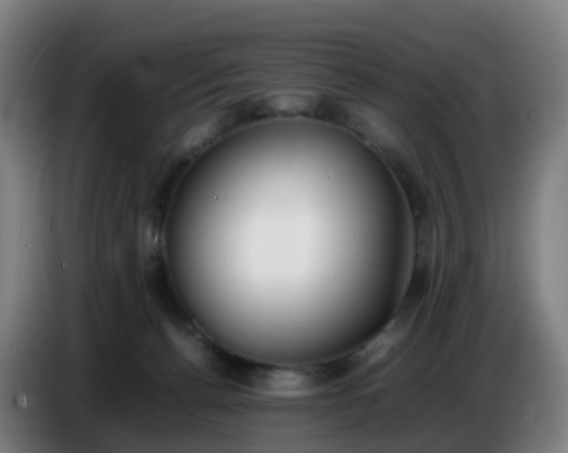 X0000086720176200704201633