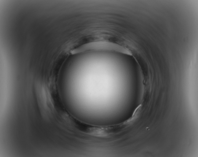 X0000086720182200704201633