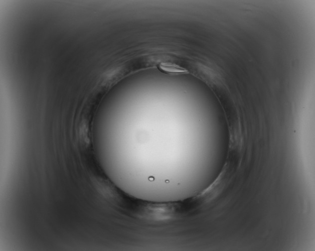 X0000086720187200704201634