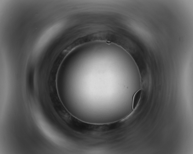 X0000086720191200704201634