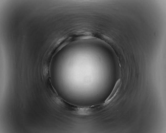 X0000086720192200704201634