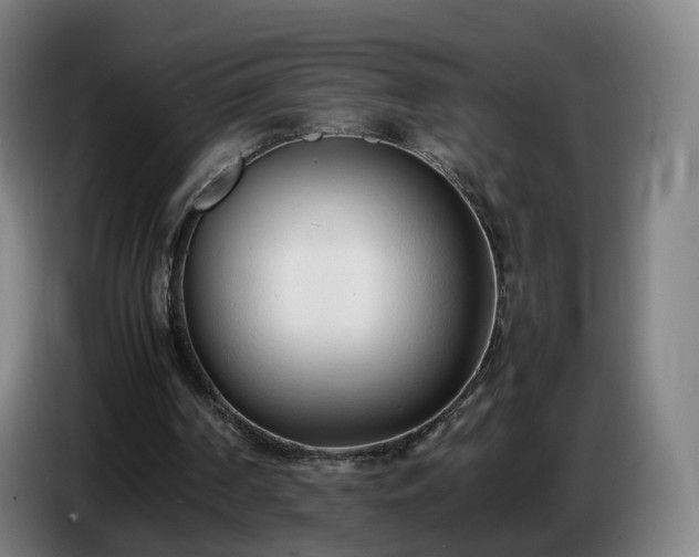X0000086720194200704201633