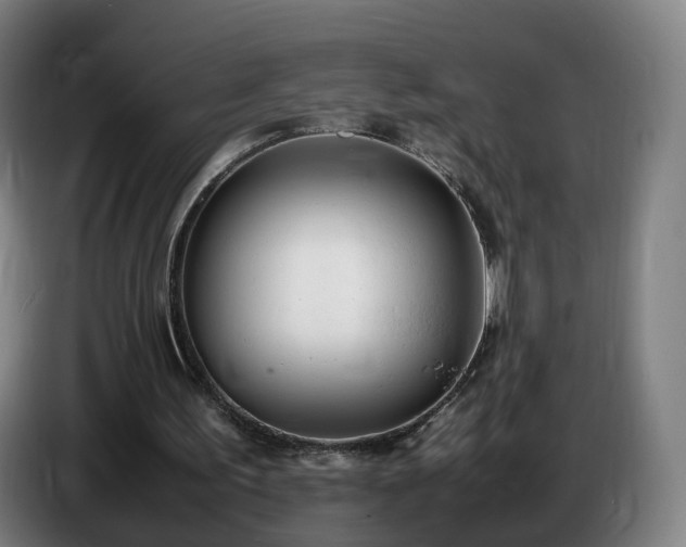 X0000086720195200704201633