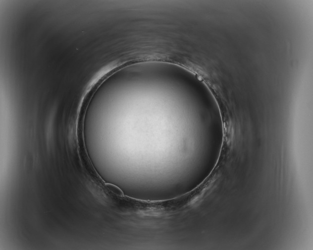 X0000086720196200704201633