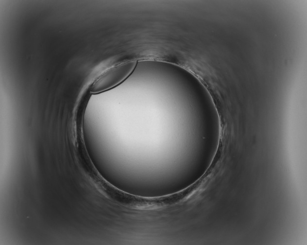 X0000086720198200704201633