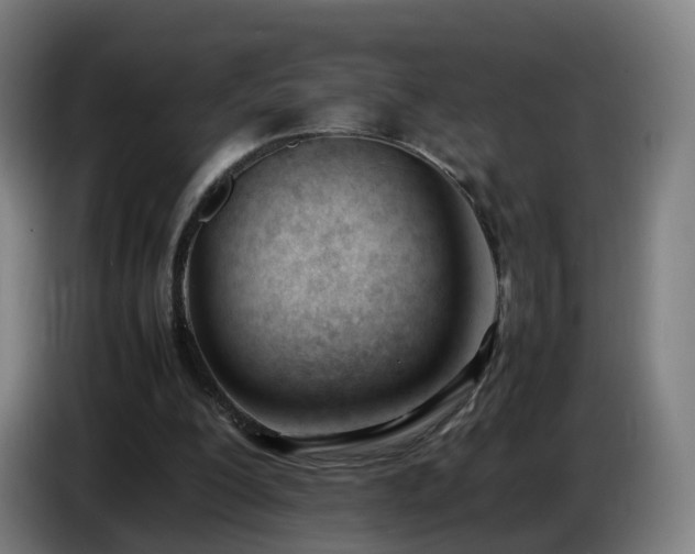 X0000086720200200704201633