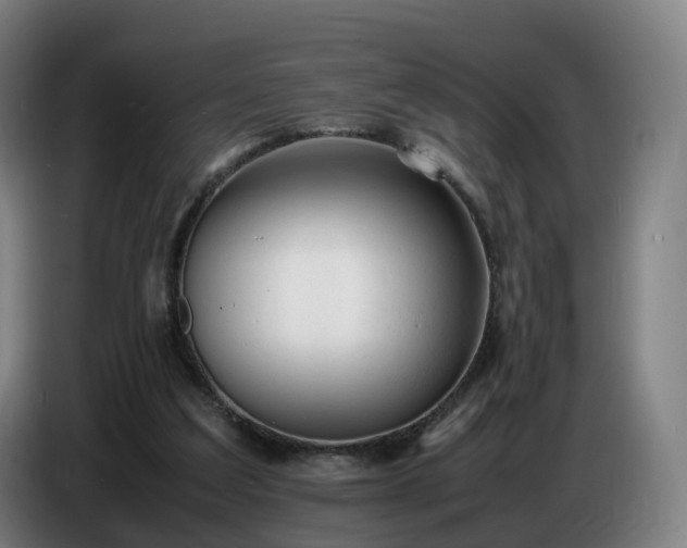 X0000086720203200704201633