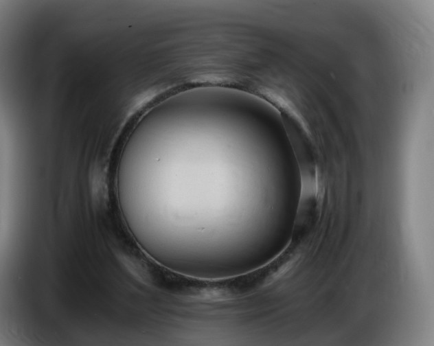 X0000086720204200704201633