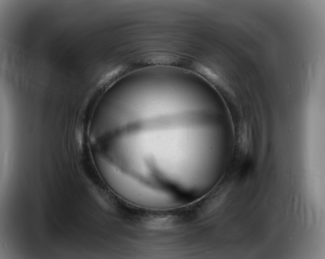 X0000086720206200704201633