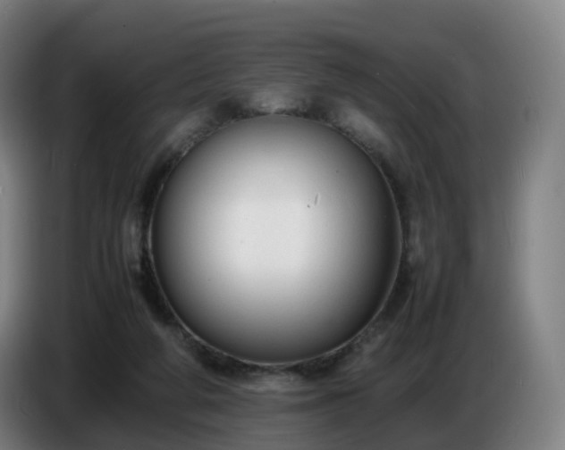 X0000086720210200704201633