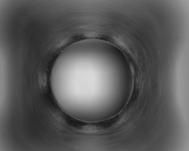 X0000086720211200704201633