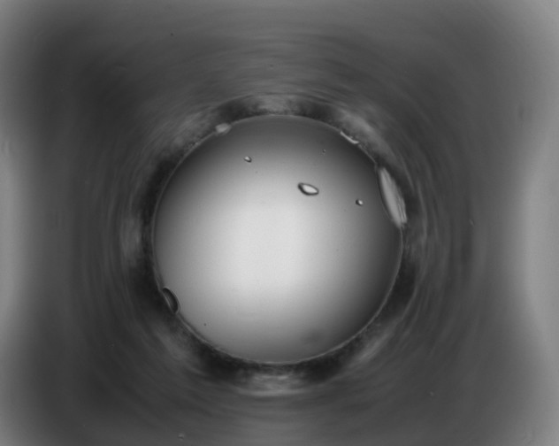 X0000086720213200704201633