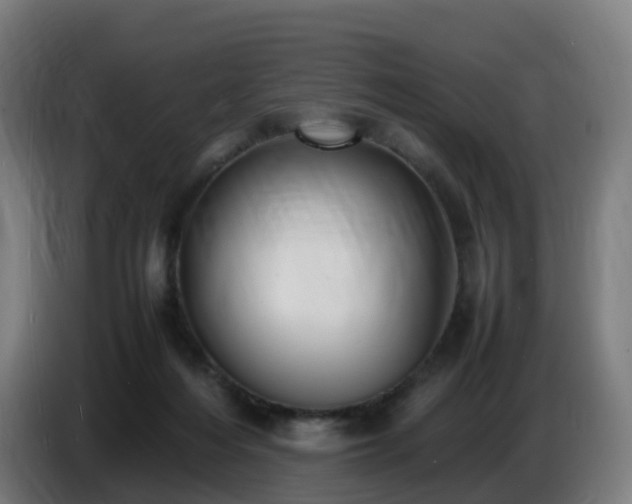 X0000086720216200704201633