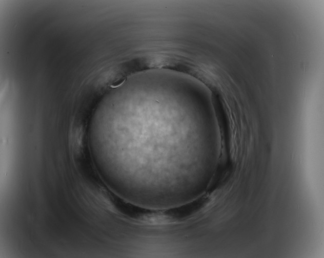 X0000086720219200704201633