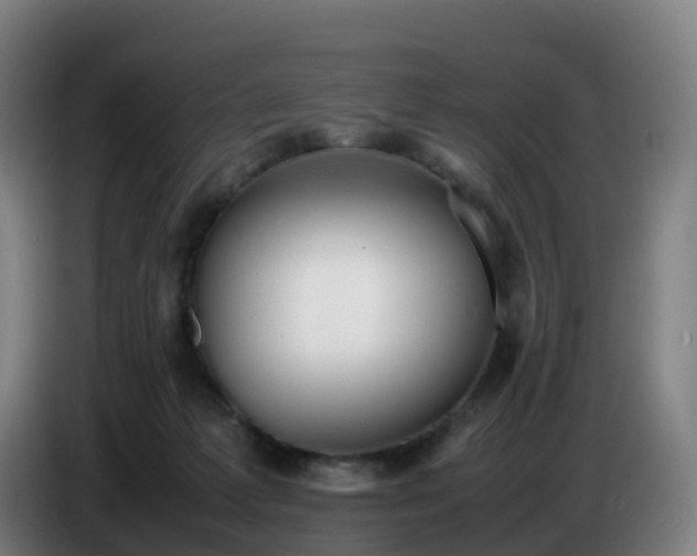 X0000086720221200704201633