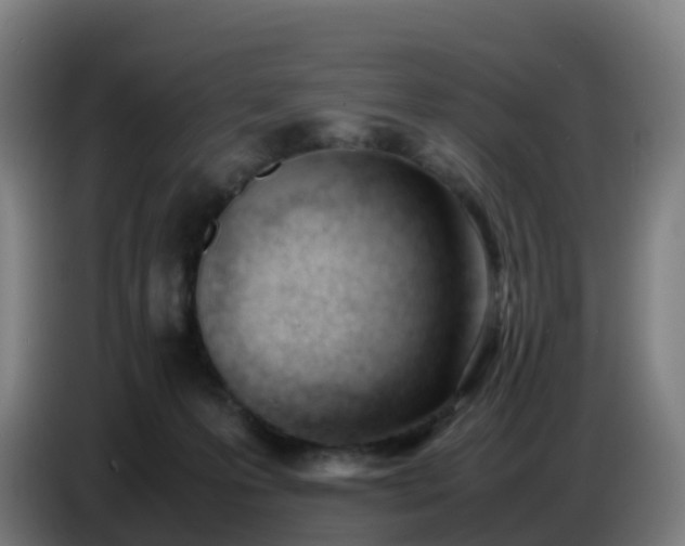 X0000086720223200704201633