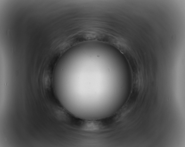 X0000086720226200704201633