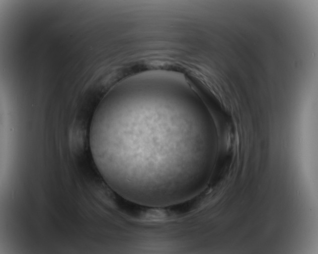 X0000086720227200704201633