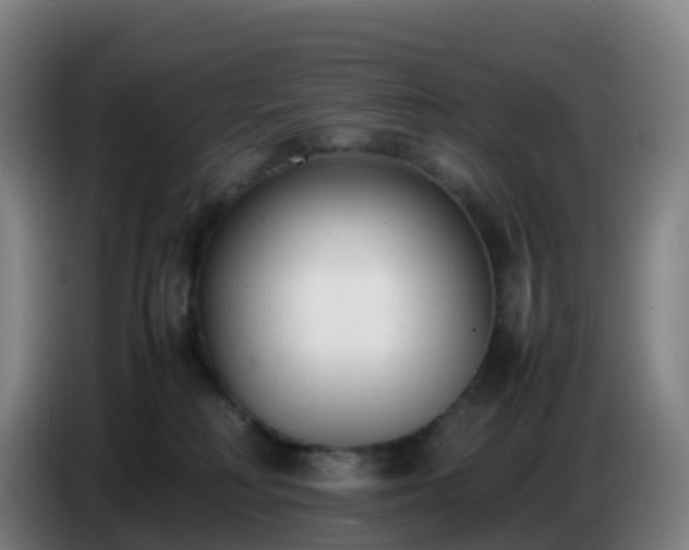 X0000086720230200704201633