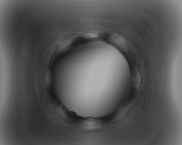 X0000086720231200704201633