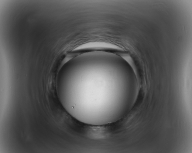 X0000086720233200704201633