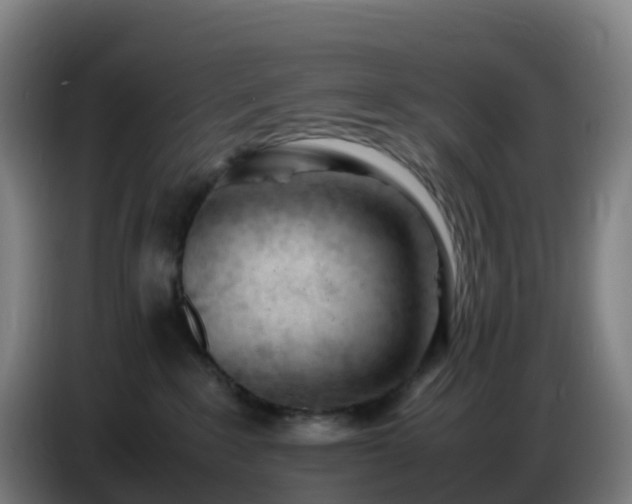 X0000086720235200704201632