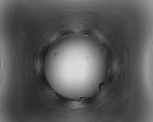 X0000086720236200704201632