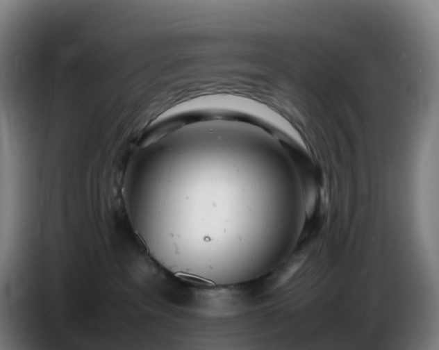X0000086720237200704201632
