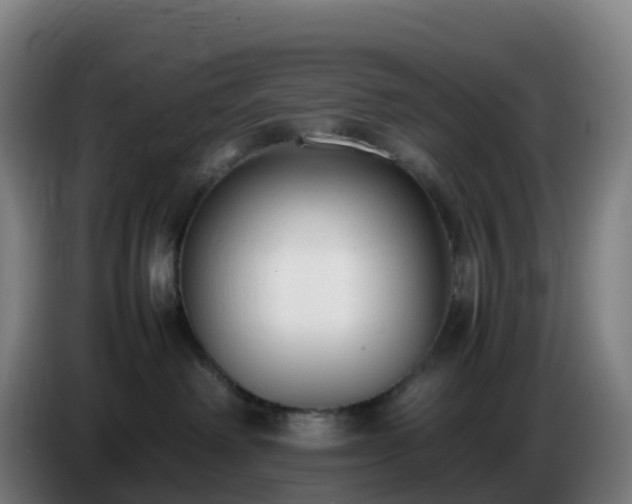 X0000086720238200704201632