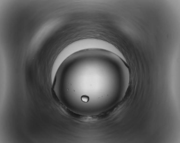 X0000086720239200704201632
