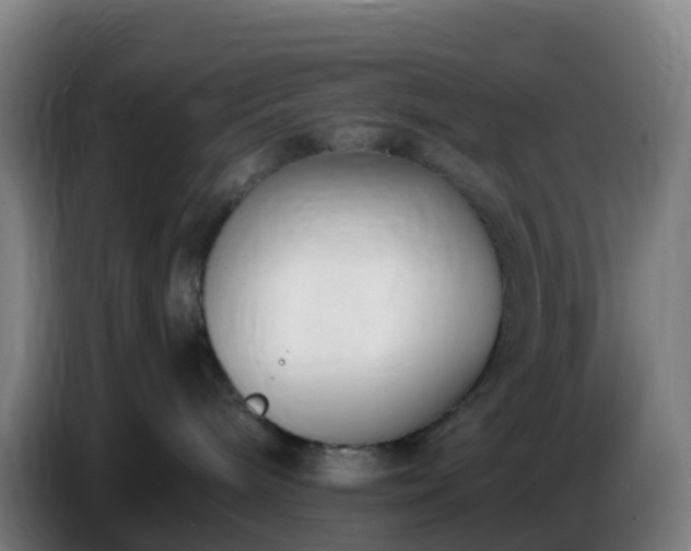 X0000086720240200704201632