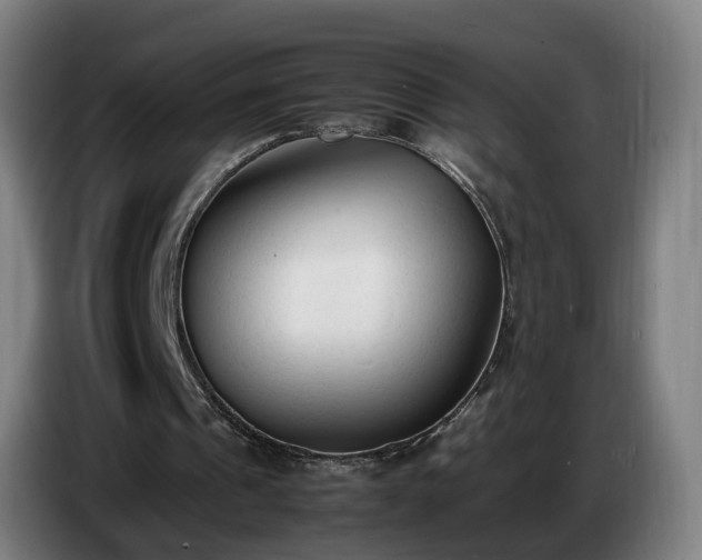 X0000086720241200704201632