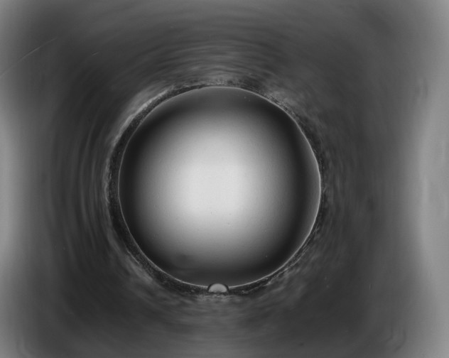 X0000086720242200704201632