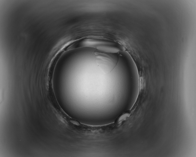 X0000086720243200704201632