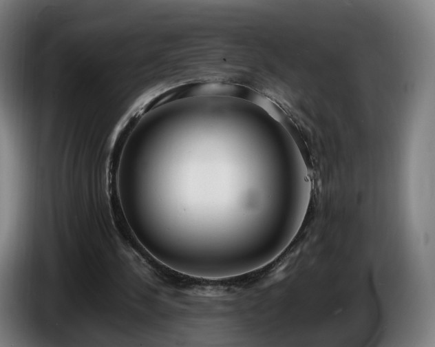 X0000086720244200704201632