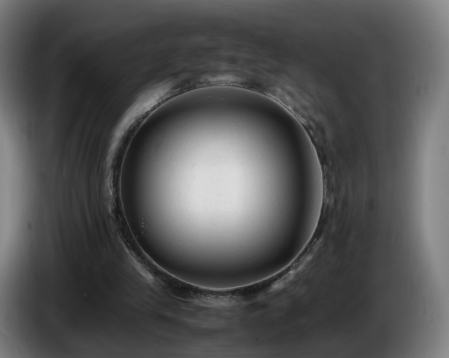 X0000086720245200704201632