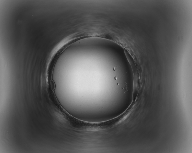 X0000086720246200704201632