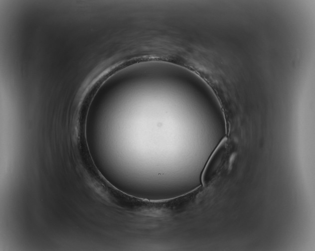 X0000086720247200704201632