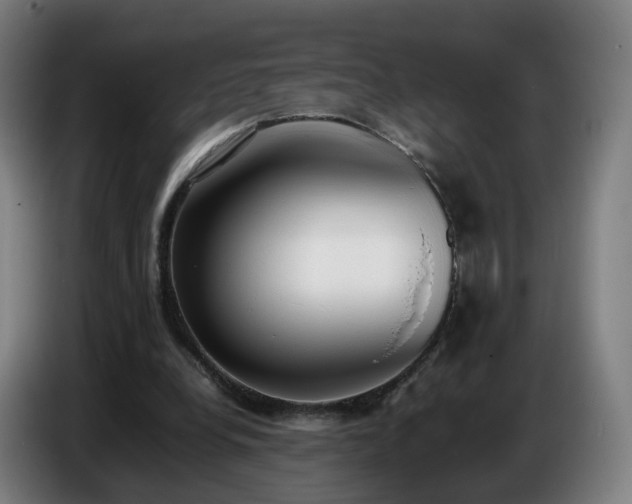 X0000086720248200704201632