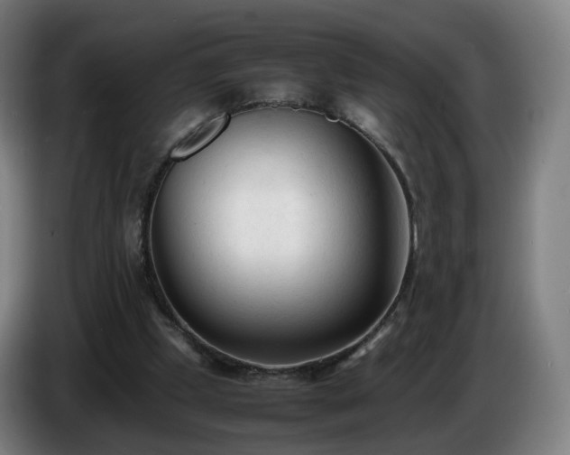 X0000086720249200704201632