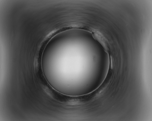 X0000086720252200704201632