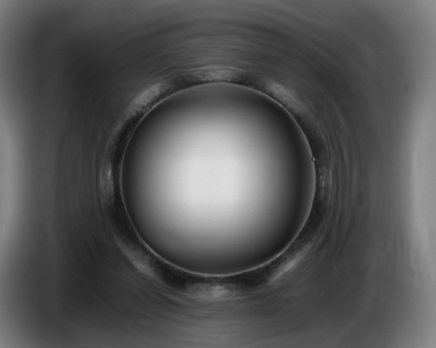 X0000086720254200704201632